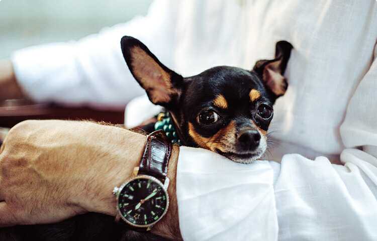 Erat Volutpat Aliquam